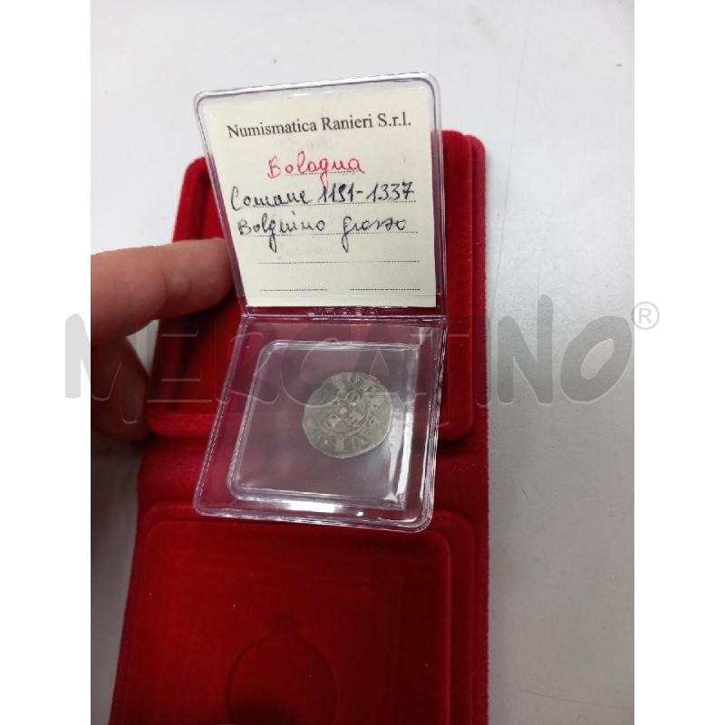 BOLOGNINO GROSSO | Mercatino dell'Usato Roma porta di roma 3