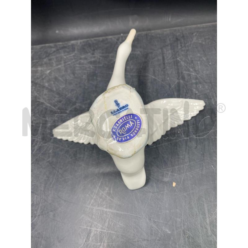 CIGNO  LADRO | Mercatino dell'Usato Roma porta di roma 5