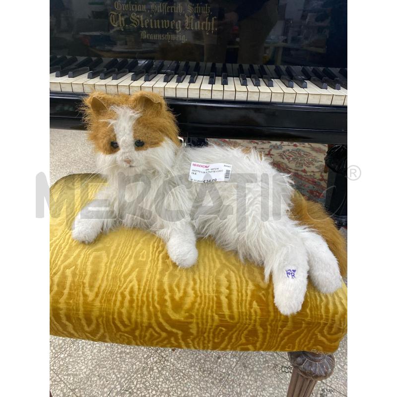 GATTO LULU TUTTE COCCOLE | Mercatino dell'Usato Roma porta di roma 1