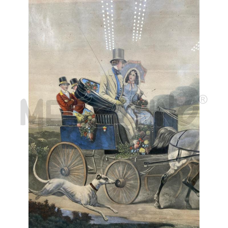 STAMPA INGLESE CAVALLI | Mercatino dell'Usato Roma porta di roma 2