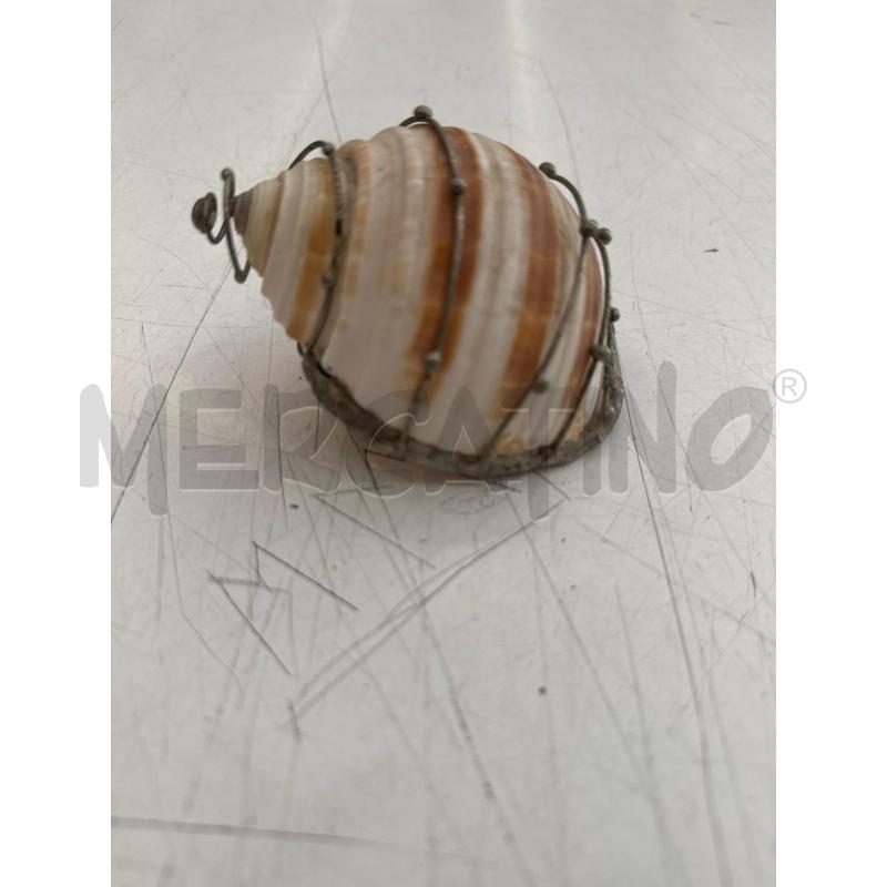 CONCHIGLIA ARGENTATA  | Mercatino dell'Usato Roma somalia 1