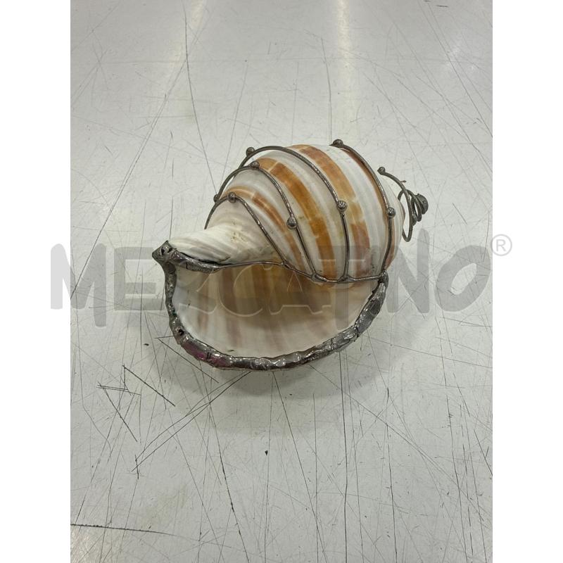 CONCHIGLIA ARGENTATA  | Mercatino dell'Usato Roma somalia 3