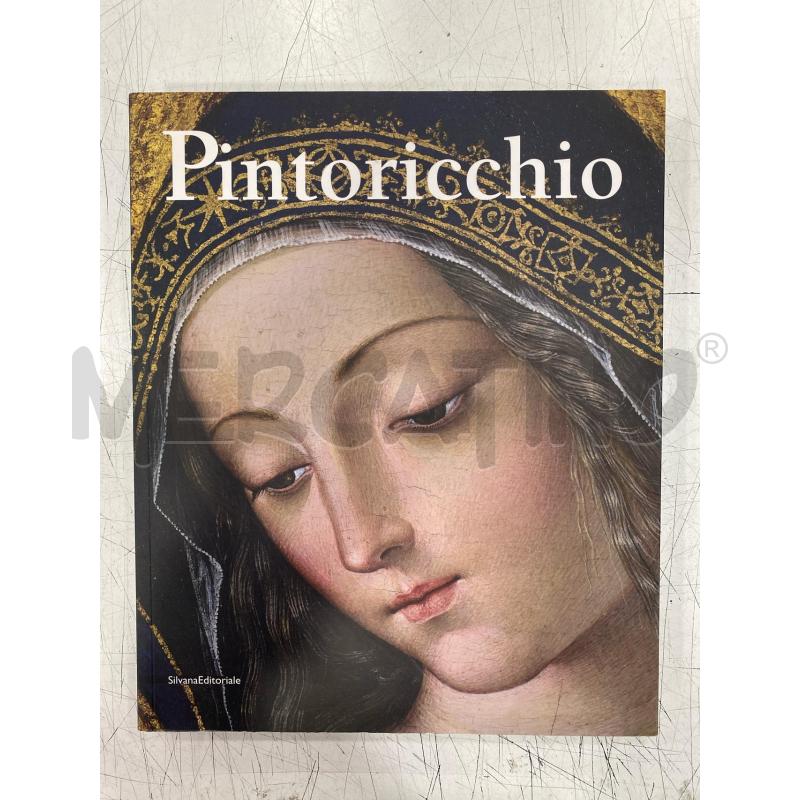 LIBRO ARTE PINTORICCHIO SILVANA | Mercatino dell'Usato Roma somalia 1