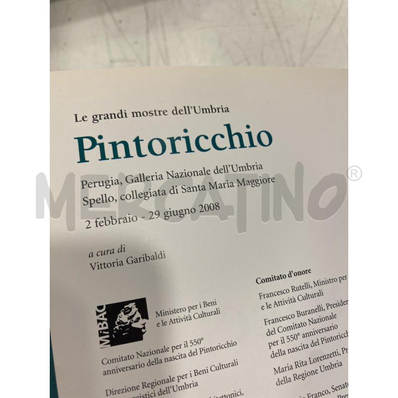 LIBRO ARTE PINTORICCHIO SILVANA | Mercatino dell'Usato Roma somalia 2