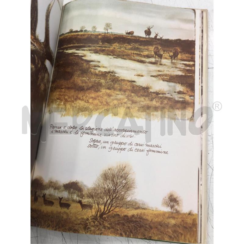 LIBRO ILLUSTRATO ANIMALI MIEI AMICI RIZZOLI 1980 | Mercatino dell'Usato Roma somalia 3