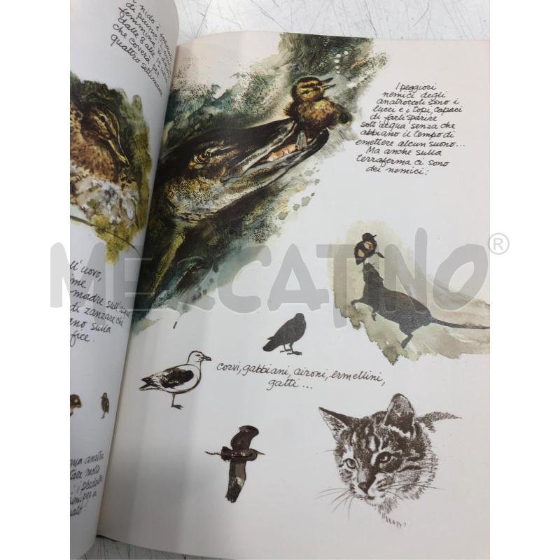 LIBRO ILLUSTRATO ANIMALI MIEI AMICI RIZZOLI 1980 | Mercatino dell'Usato Roma somalia 4