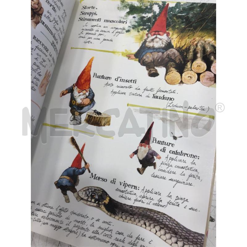 LIBRO ILLUSTRATO GNOMI RIZZOLI 1978 | Mercatino dell'Usato Roma somalia 5