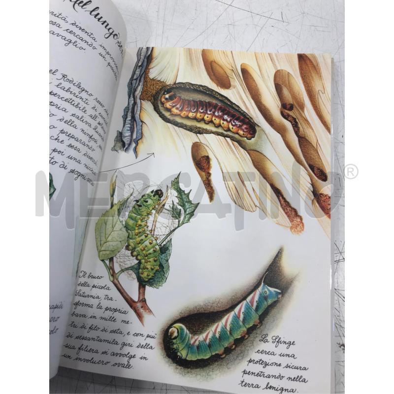 LIBRO ILLUSTRATO IL GIARDINO DELLE FARFALLE RIZZOLI 1980 | Mercatino dell'Usato Roma somalia 5