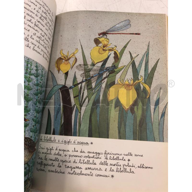 LIBRO IL MONDO DELLA PALUDE RIZZOLI 1981 | Mercatino dell'Usato Roma somalia 3
