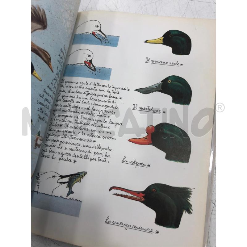 LIBRO IL MONDO DELLA PALUDE RIZZOLI 1981 | Mercatino dell'Usato Roma somalia 4