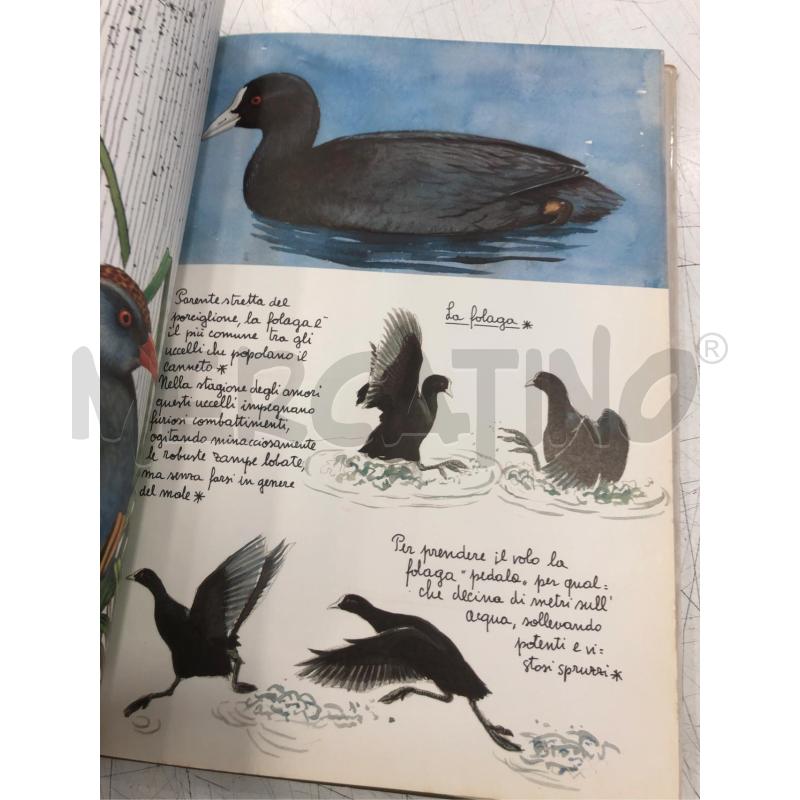LIBRO IL MONDO DELLA PALUDE RIZZOLI 1981 | Mercatino dell'Usato Roma somalia 5