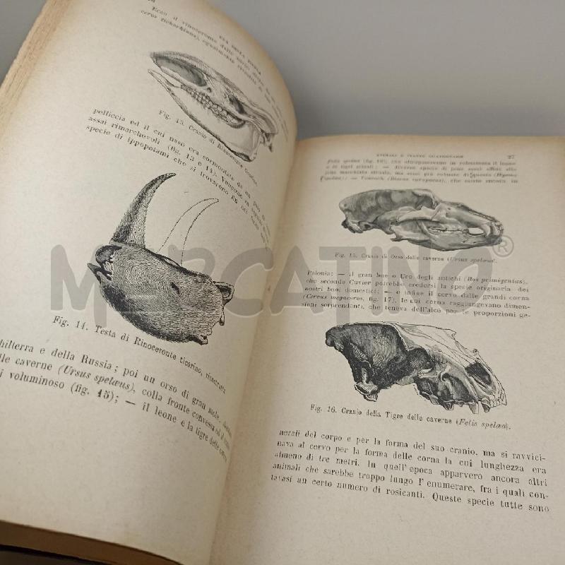 LIBRO L'UOMO PRIMITIVO LUIGI FIGUIER 1883 TREVE ED | Mercatino dell'Usato Roma somalia 5