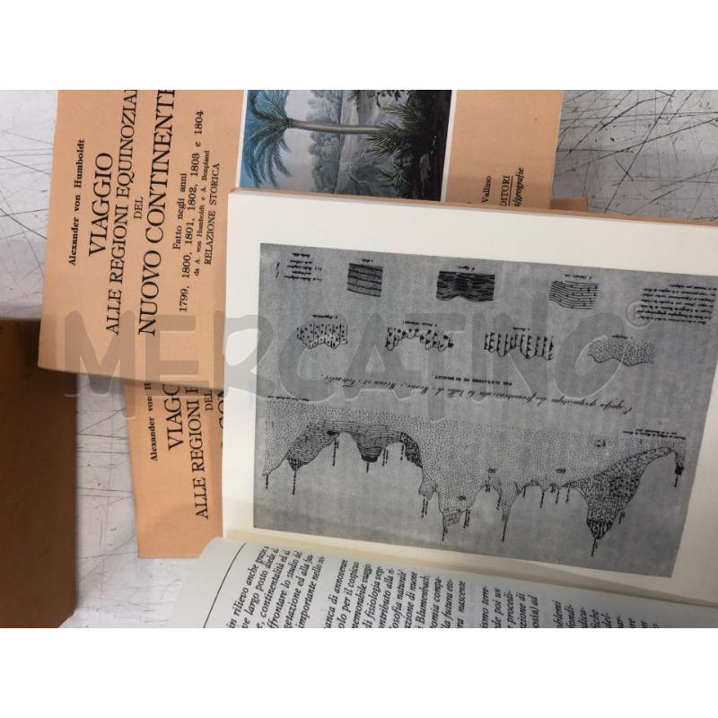 LIBRO VIAGGIO ALLE REGIONI EQUINOZIALI PALOMBI ED | Mercatino dell'Usato Roma somalia 4