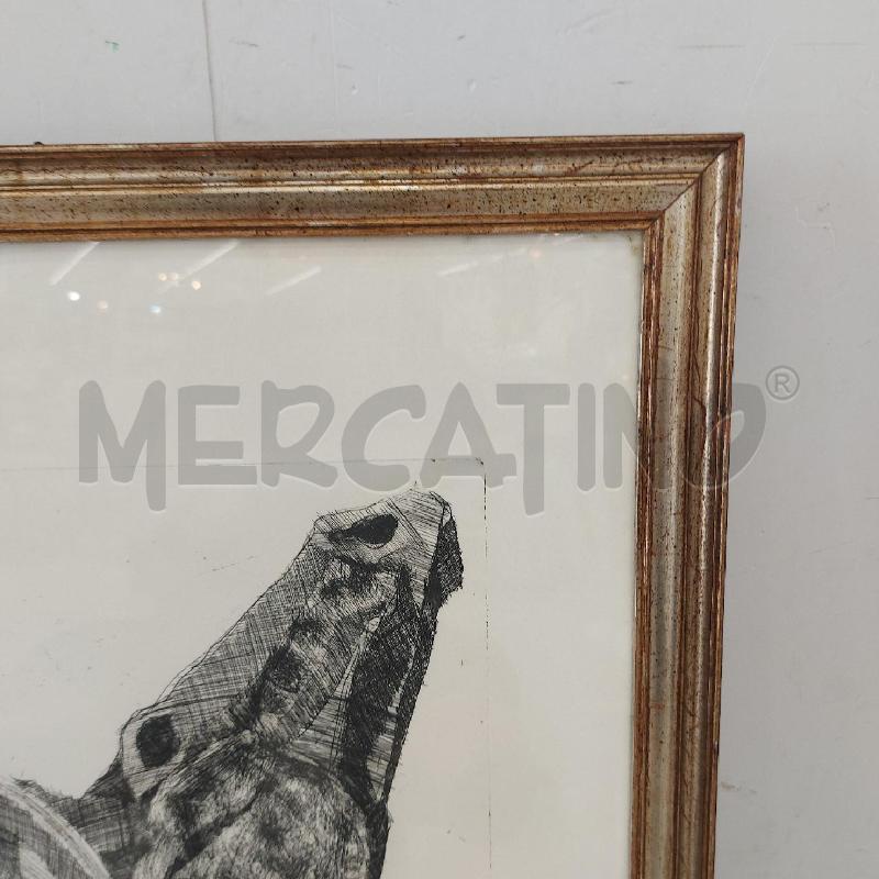 LITOGRAFIA BELLOMO VOLTO DONNA E TESTA CAVALLO | Mercatino dell'Usato Roma somalia 5