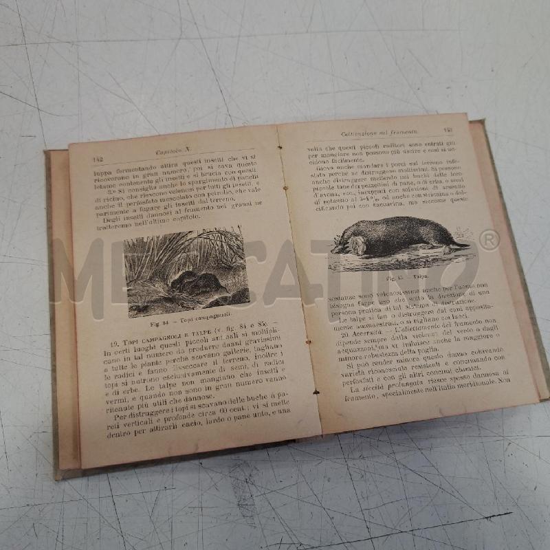 MANUALE HOEPLI IL LIBRO DELL AGRICOLTORE 1902 DIFETTI SULLA COSTA | Mercatino dell'Usato Roma somalia 4