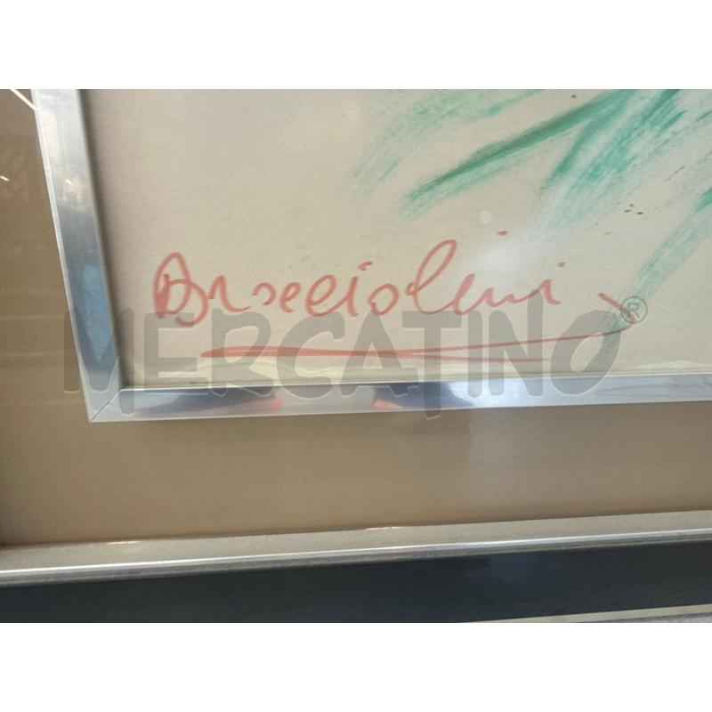 QUADRO BRACCIOLINI PIUMA PAVONE | Mercatino dell'Usato Roma somalia 2