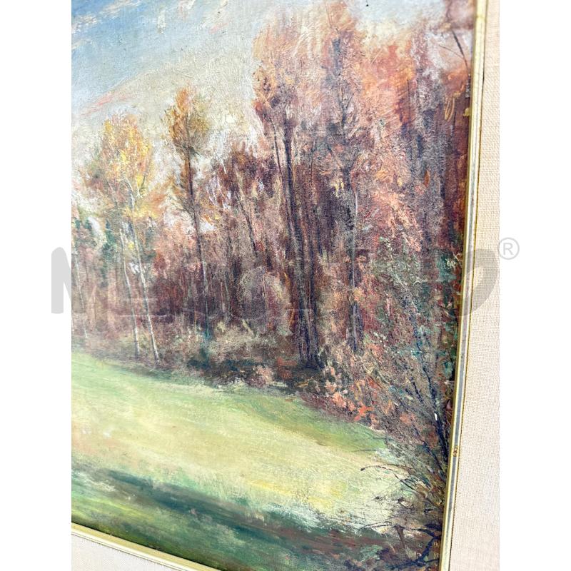 QUADRO PAESAGGIO CAMPAGNA ALBERI SU TAVOLA | Mercatino dell'Usato Roma somalia 3