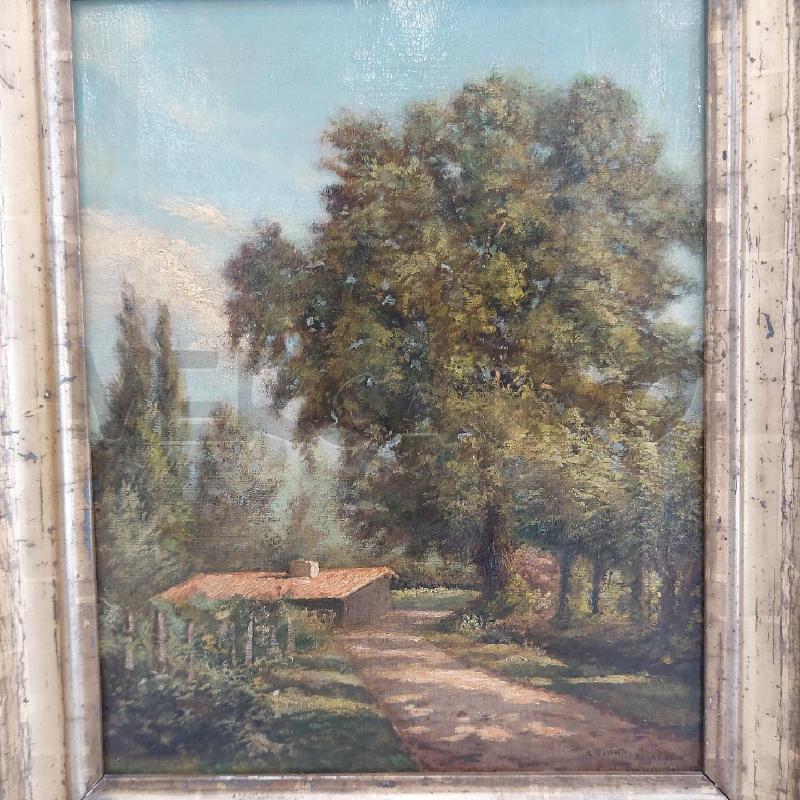 QUADRO PAESAGGIO CAMPAGNA CON CASOLARE 50X42 | Mercatino dell'Usato Roma somalia 2