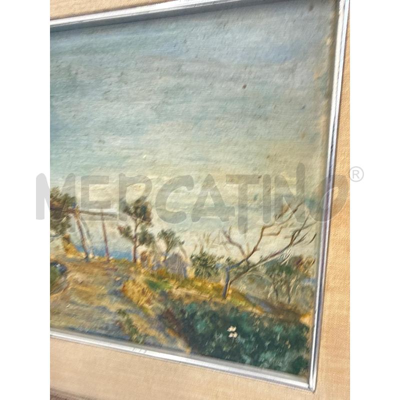 QUADRO PAESAGGIO CASA IN CAMPAGNA SU TAVOLA | Mercatino dell'Usato Roma somalia 4