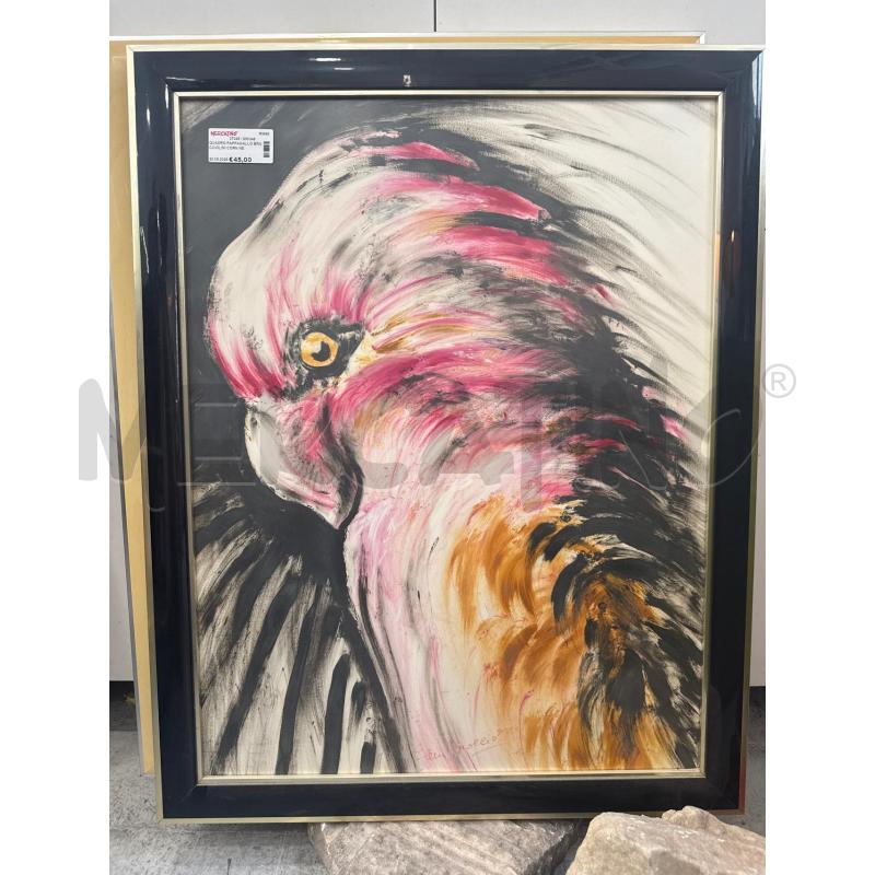 QUADRO PAPPAGALLO BRACCIOLINI CORN NERA | Mercatino dell'Usato Roma somalia 1