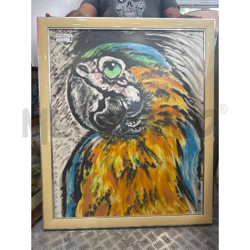 QUADRO PAPPAGALLO ELENA BRACCIOLINI | Mercatino dell'Usato Roma somalia 1