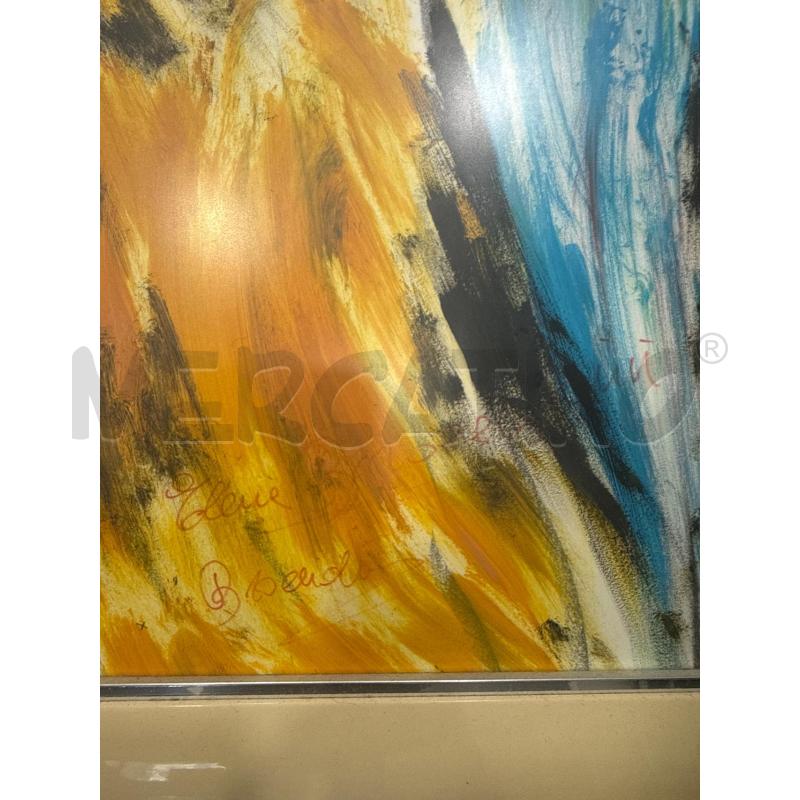QUADRO PAPPAGALLO ELENA BRACCIOLINI | Mercatino dell'Usato Roma somalia 2