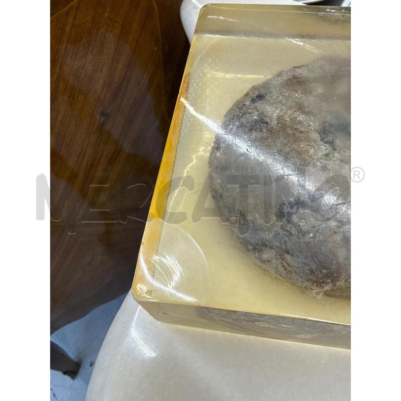 SVUOTA TASCHE CONCHIGLIAS PLEX | Mercatino dell'Usato Roma somalia 5