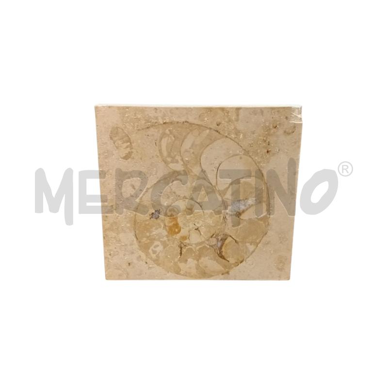 FOSSILE LUMACA AMMONITE MATTONELLA | Mercatino dell'Usato Civitavecchia 1