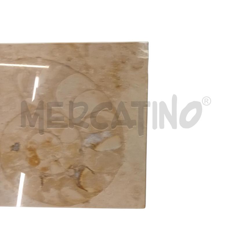 FOSSILE LUMACA AMMONITE MATTONELLA | Mercatino dell'Usato Civitavecchia 2