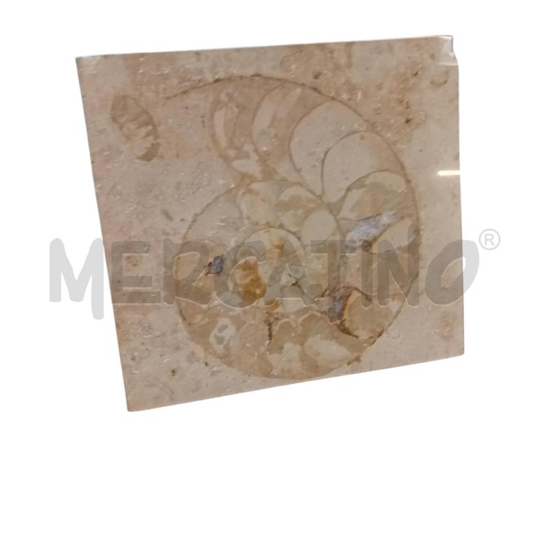FOSSILE LUMACA AMMONITE MATTONELLA | Mercatino dell'Usato Civitavecchia 3