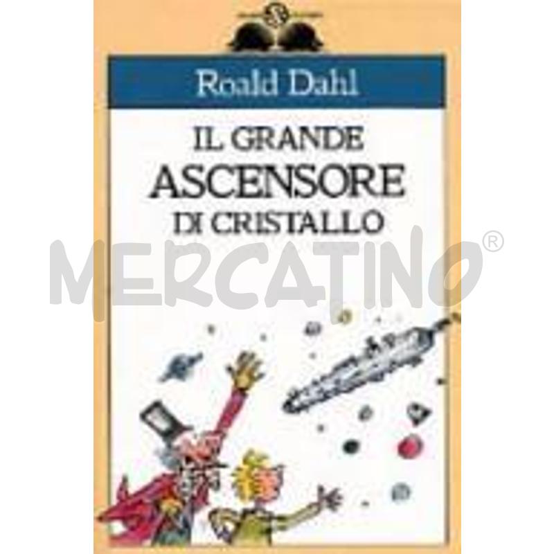 IL GRANDE ASCENSORE DI CRISTALLO | Mercatino dell'Usato Civitavecchia 1