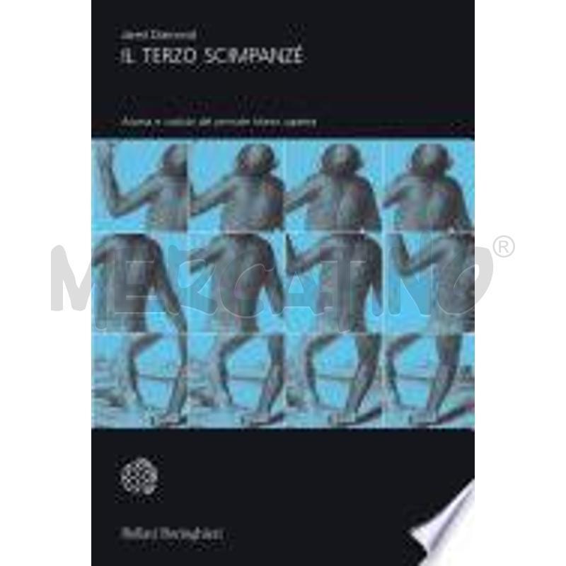 IL TERZO SCIMPANZÉ | Mercatino dell'Usato Civitavecchia 1