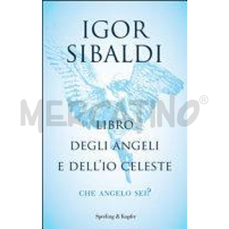 LIBRO DEGLI ANGELI E DELL'IO CELESTE. CHE ANGELO S | Mercatino dell'Usato Civitavecchia 1
