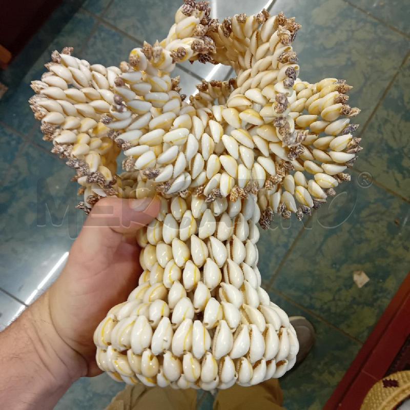 PORTA FIORE CONCHIGLIE  | Mercatino dell'Usato Civitavecchia 3