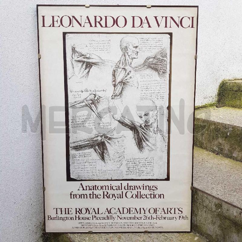 STAMPA 76X51 LEONARDO DA VINCI ANATOMICAL DRAWINGS | Mercatino dell'Usato Civitavecchia 1