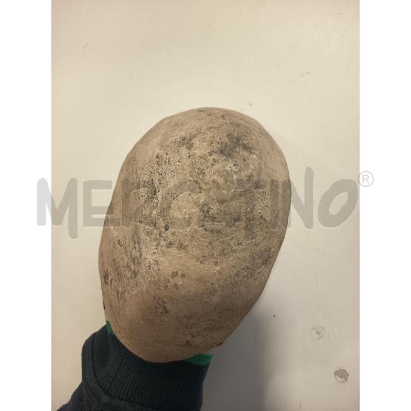 FOSSILE  PESCE OSSEO RHACOLEPIS BUCCALIS 120-110 M | Mercatino dell'Usato Roma rebibbia 3
