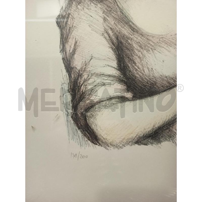 LITOGRAFIA DONNA GABBIANI 178/200 | Mercatino dell'Usato Roma rebibbia 4