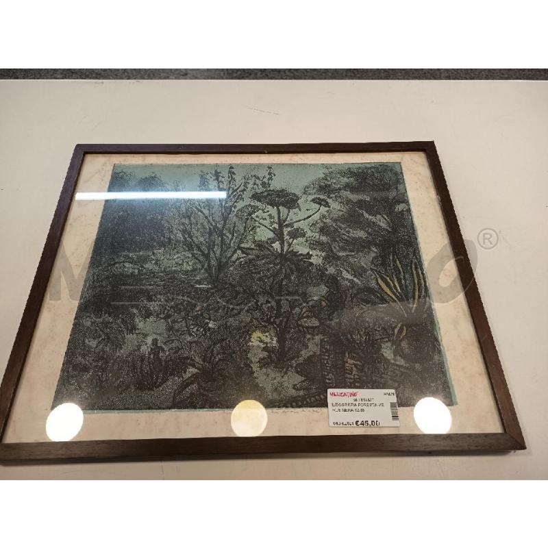 LITOGRAFIA FORESTA VERDE NERA 62/85 | Mercatino dell'Usato Roma rebibbia 1