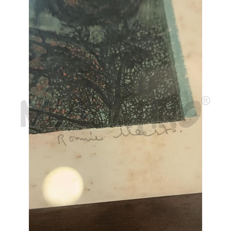 LITOGRAFIA FORESTA VERDE NERA 62/85 | Mercatino dell'Usato Roma rebibbia 4