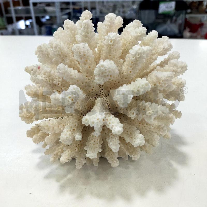 MINERALE SPUGNA BIANCA DECORATIVA | Mercatino dell'Usato Roma rebibbia 1