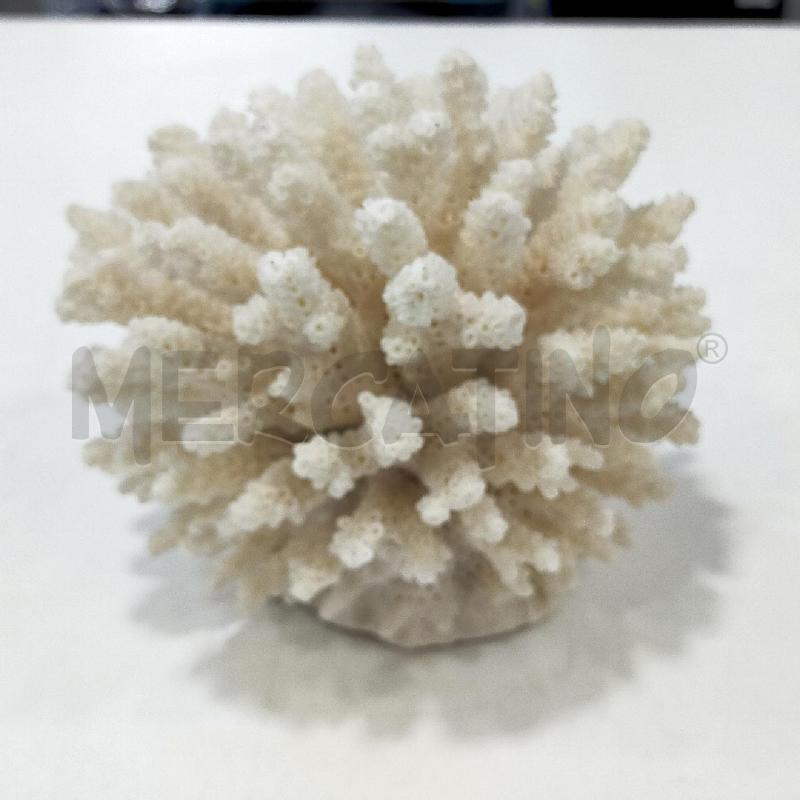 MINERALE SPUGNA BIANCA DECORATIVA | Mercatino dell'Usato Roma rebibbia 4