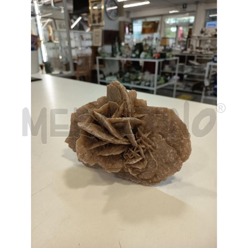 ROSA DEL DESERTO GRANDE | Mercatino dell'Usato Roma rebibbia 1