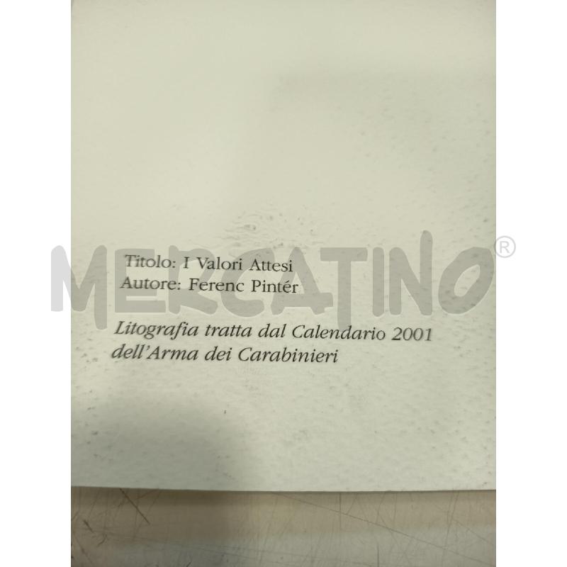 STAMPA PINTER ARMA CARABINIERI MANI 173/250 | Mercatino dell'Usato Roma rebibbia 2