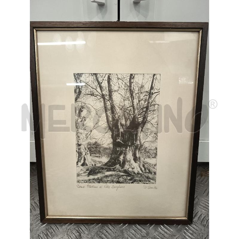STAMPA SU STOFFA B/N PLATANI DI VILLA BORGHESE 41X33 | Mercatino dell'Usato Roma rebibbia 1