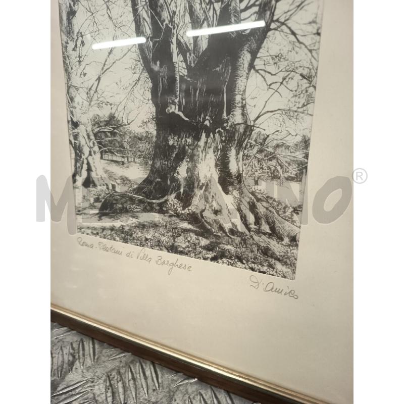 STAMPA SU STOFFA B/N PLATANI DI VILLA BORGHESE 41X33 | Mercatino dell'Usato Roma rebibbia 2