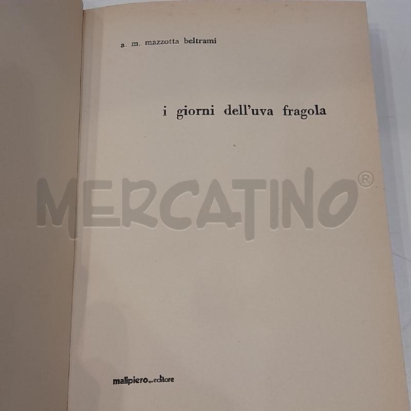 A.M. MAZZOTTA I GIORNI DELL'UVA FRAGOLA 1979 | Mercatino dell'Usato Roma re di roma 5
