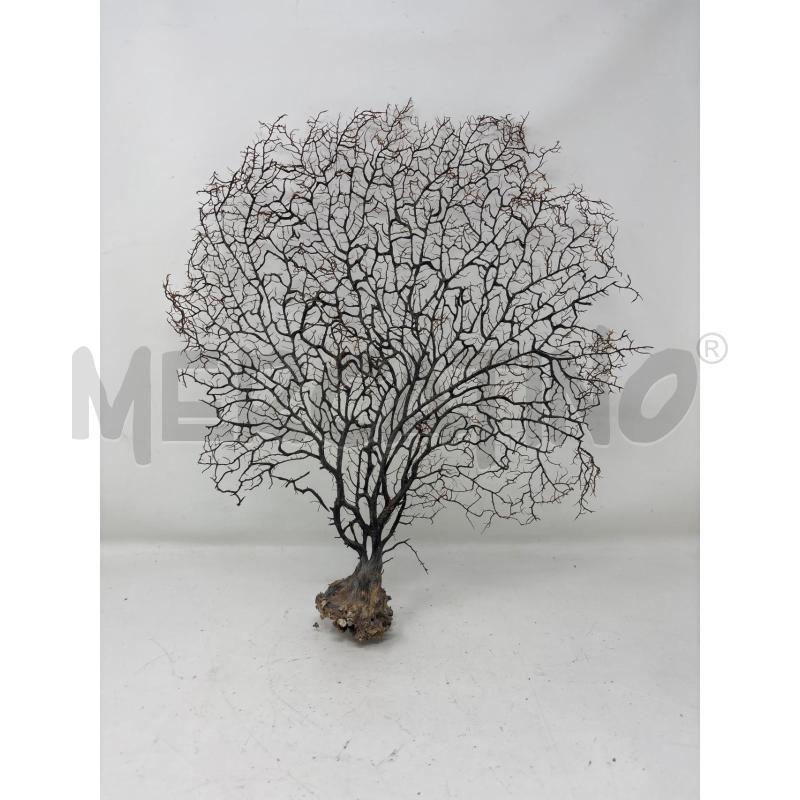 ALBERO DI CORALLO  | Mercatino dell'Usato Roma re di roma 1