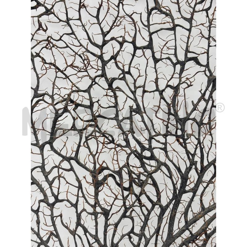 ALBERO DI CORALLO  | Mercatino dell'Usato Roma re di roma 2