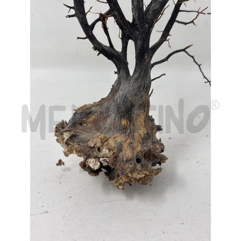 ALBERO DI CORALLO  | Mercatino dell'Usato Roma re di roma 3