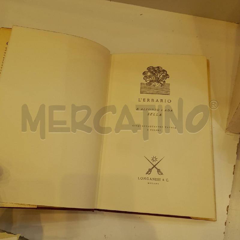 ALFONSO E ADA SELLA L'ERBARIO 1974 | Mercatino dell'Usato Roma re di roma 3